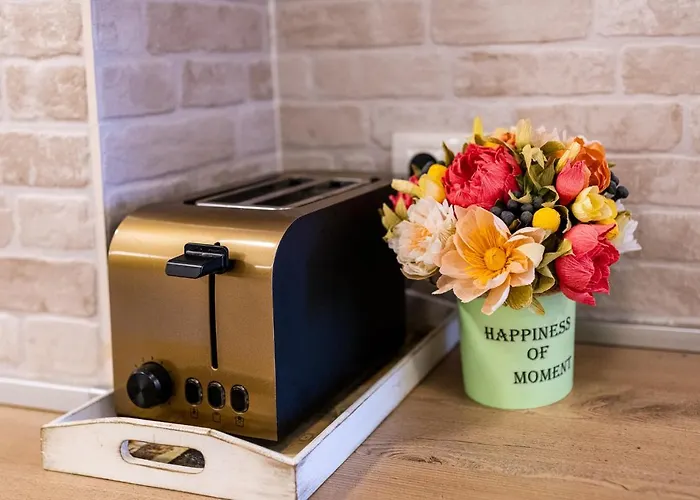 公寓 Julia Central *